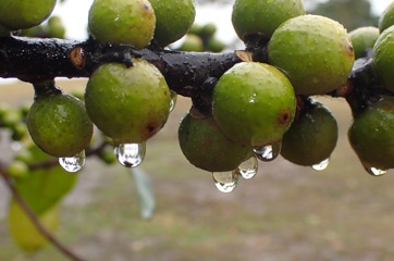 PB040936a.jpg